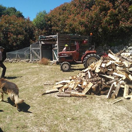 Chale Pouso Da Serra - Casas De Montanha Costilhao 外观 照片
